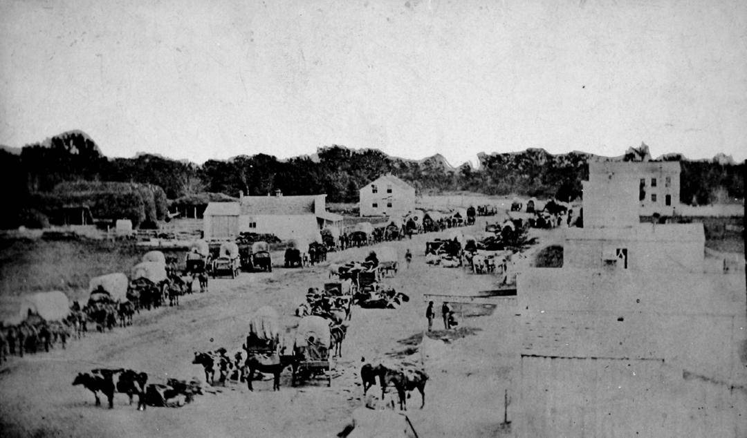 Horses pulling wagons on a busy dirt street with some makeshift buildings in the background.